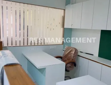 Money plant High street Jagatpur