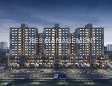 Olive GREENS  GOTA AHMEDABAD