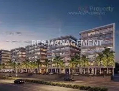 MONEY PLANT JUNCTION BHUYANGDEV AHMEDABAD