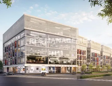 MONEY PLANT JUNCTION BHUYANGDEV AHMEDABAD