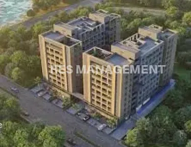 MORPANKH OGNAJ AHMEDABAD