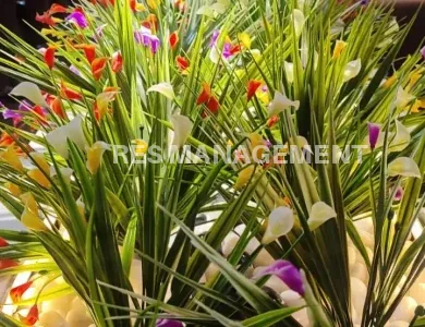 ONE WORLD WEST iscon ambali AHMEDABAD