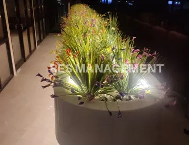 whatsapp-image-2023-10-02-at-12-02-02-pm-1-