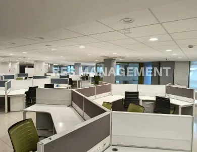 whatsapp-image-2024-01-25-at-4-53-21-pm