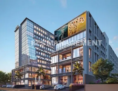MONEY PLANT HIGHSTREET  SG HIGHWAY AHMEDABAD