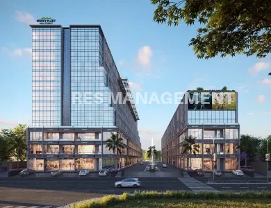 MONEY PLANT HIGHSTREET  SG HIGHWAY AHMEDABAD