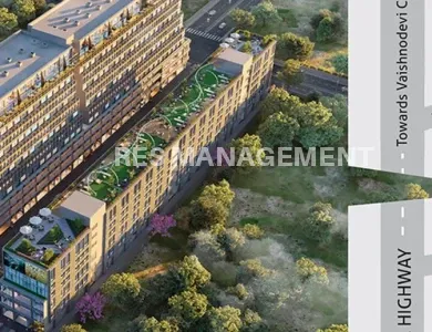 MONEY PLANT HIGHSTREET  SG HIGHWAY AHMEDABAD