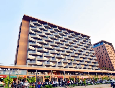 Maple Tree in Memnagar, Ahmedabad