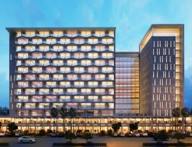 Maple Tree in Memnagar, Ahmedabad