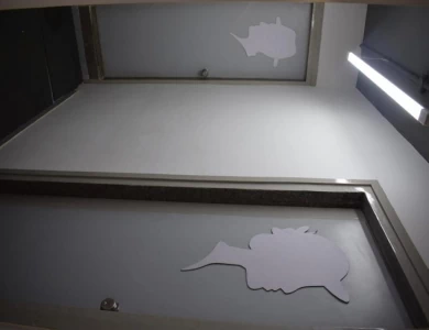 WhatsApp Image 2021-09-18 at 4.54.38 PM (2).jpeg