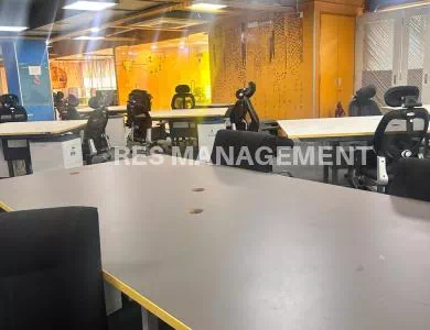 WhatsApp_Image_2024-02-15_at_11.59.21_AM_(1)