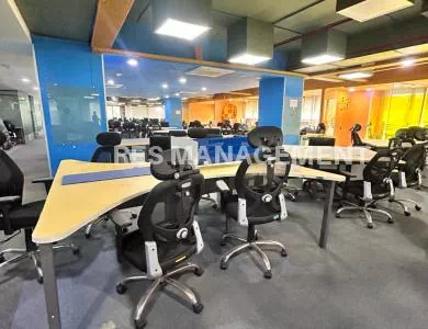 WhatsApp_Image_2024-02-15_at_11.59.21_AM_(5)